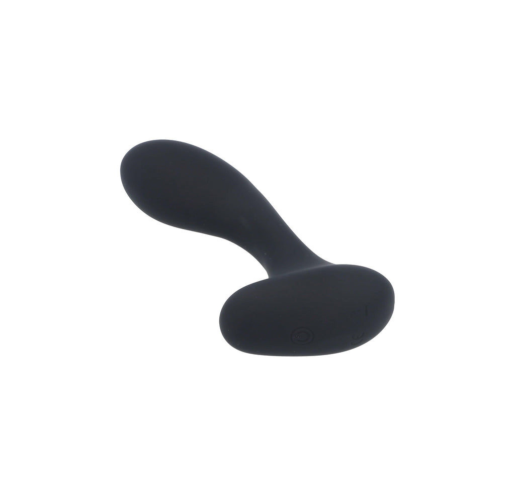 P4 Prostatic Vibrator with Remote Control