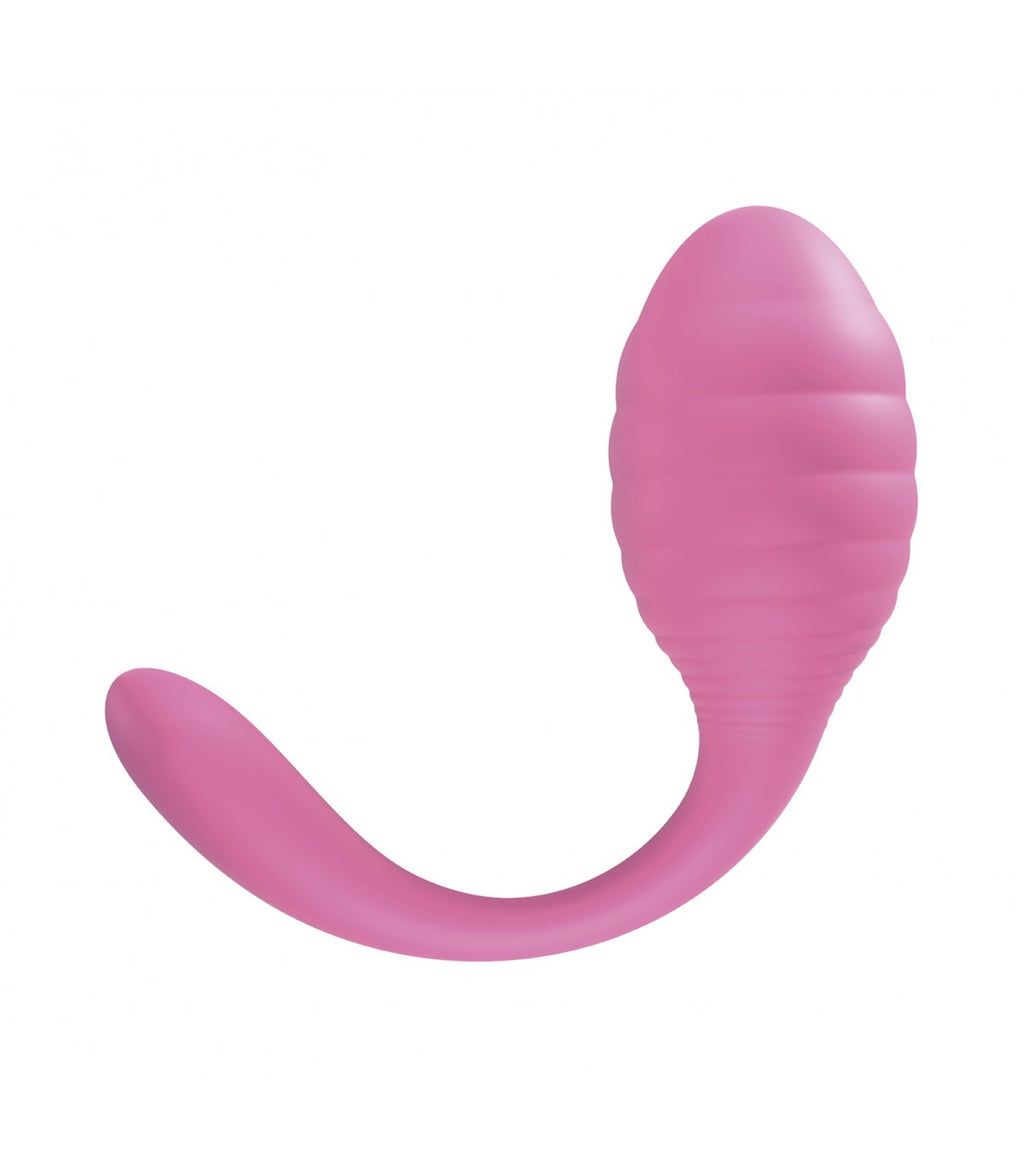 REMOTE CONTROL VIBRATOR A2
