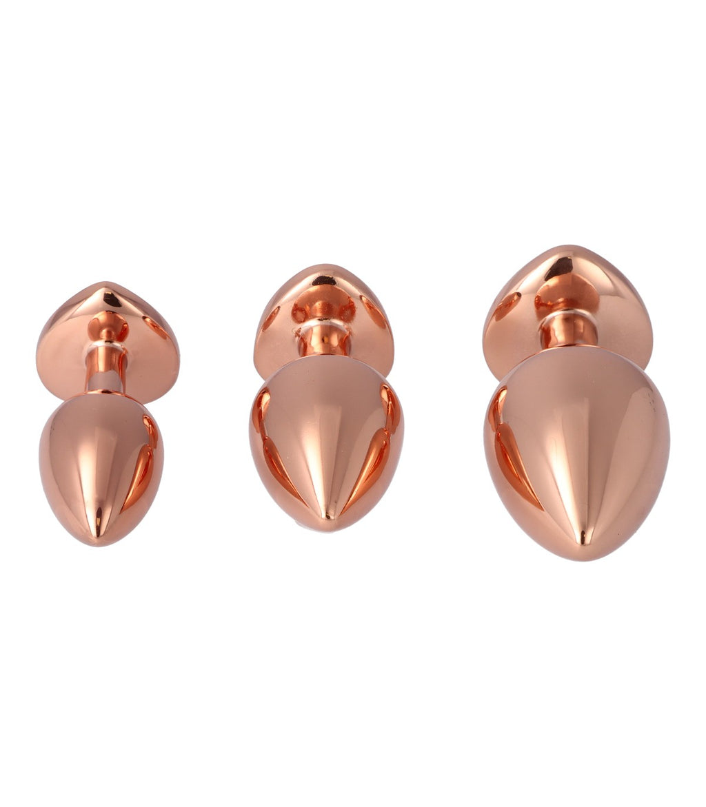 N. 14 METAL BUTT PLUG SET