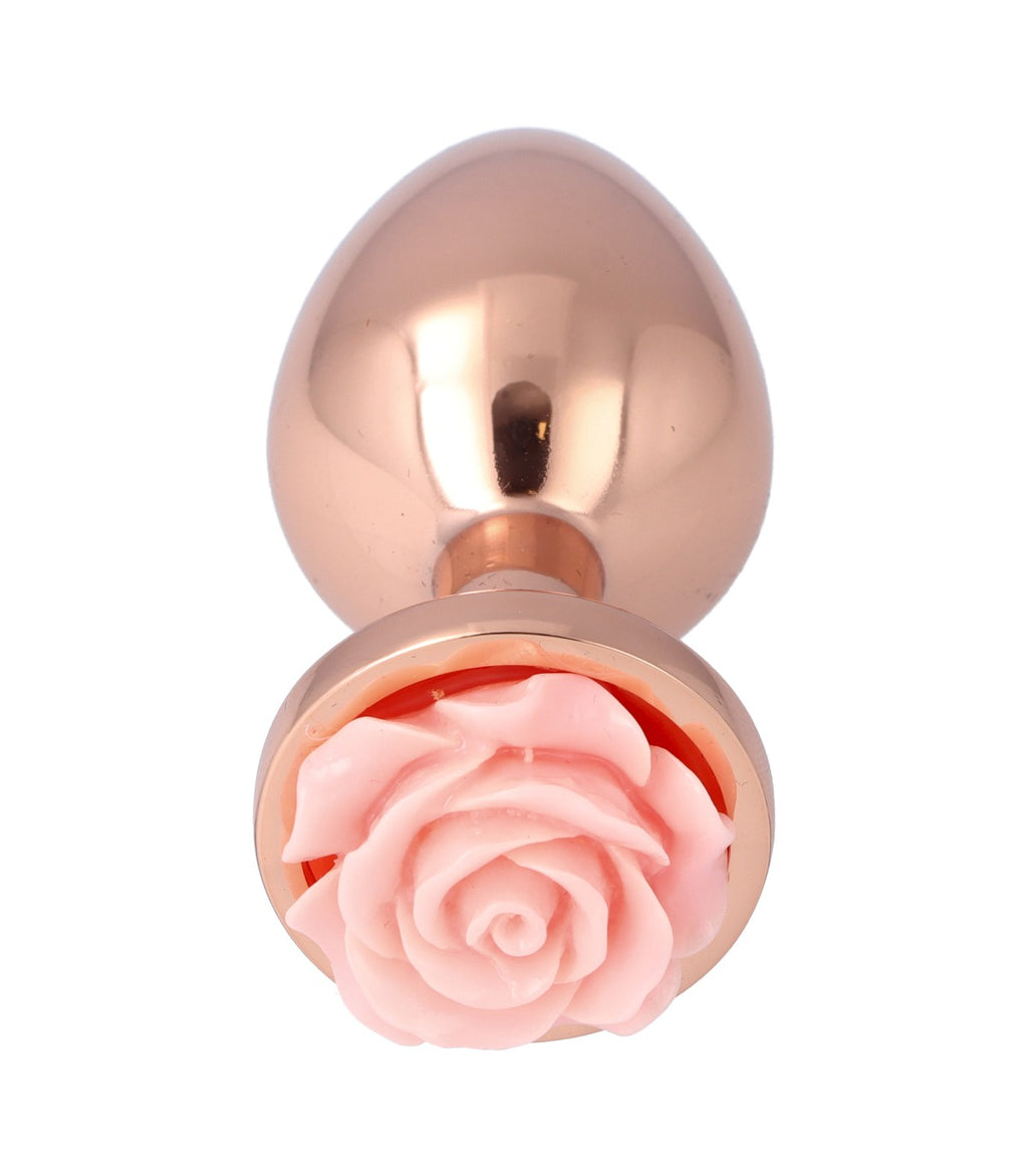 N. 28 ANAL PLUG IN METAL SIZE M