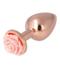 N. 28 ANAL PLUG IN METAL SIZE M