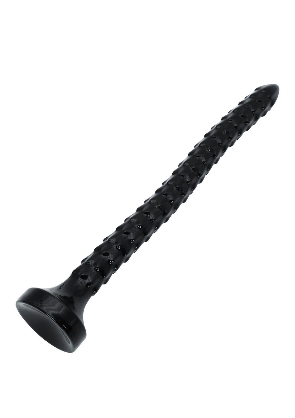 Anale serpente 45 cm nero