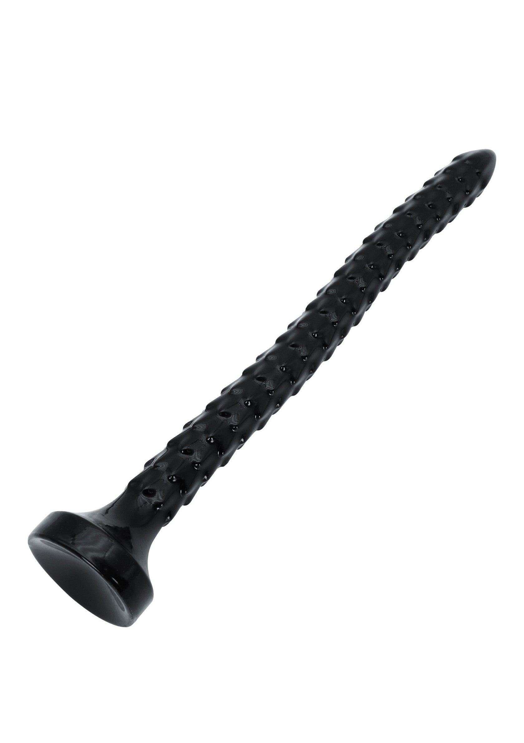 Anale serpente 45 cm nero