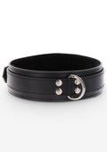 Heavy-duty collar with black D-ring