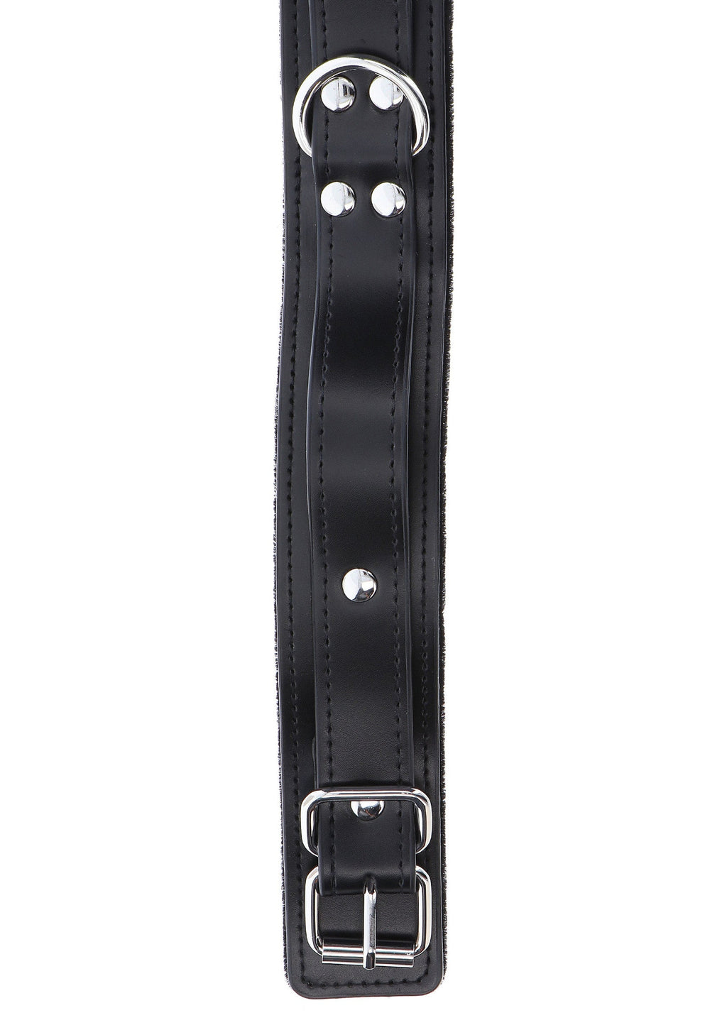 Heavy-duty collar with black D-ring