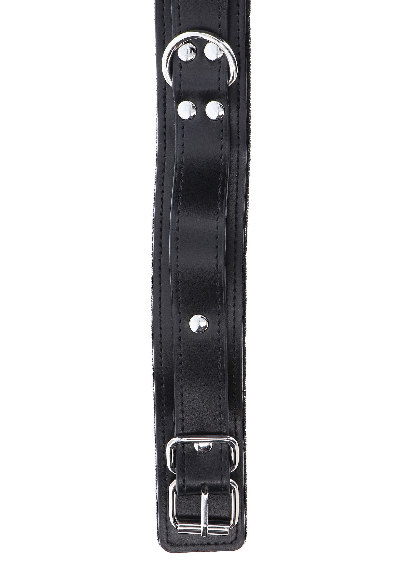 Heavy-duty collar with black D-ring