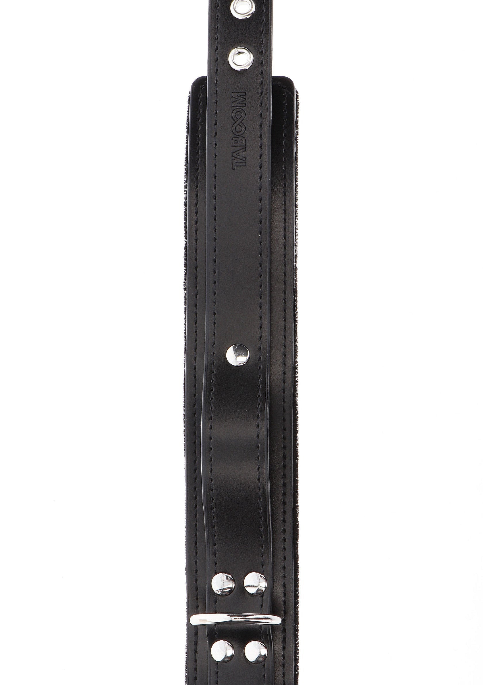 Heavy-duty collar with black D-ring