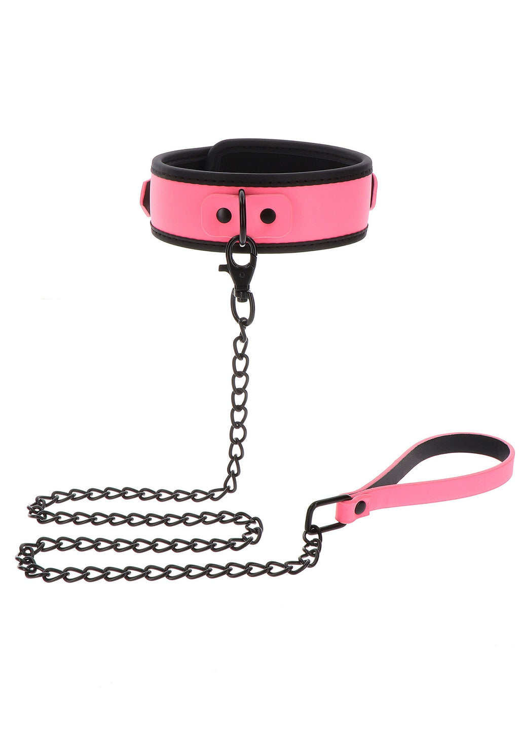 Pink chain collar and leash