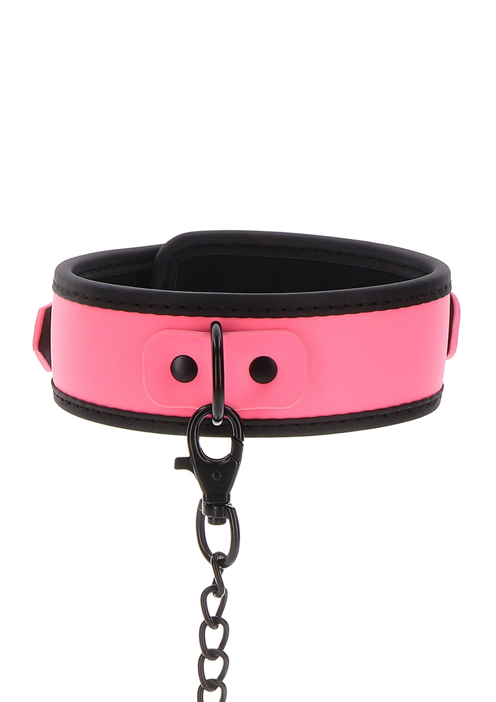 Pink chain collar and leash