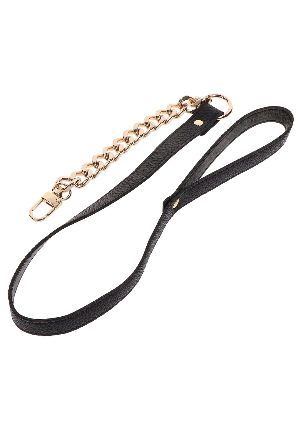 Golden Statement Collar and Leash