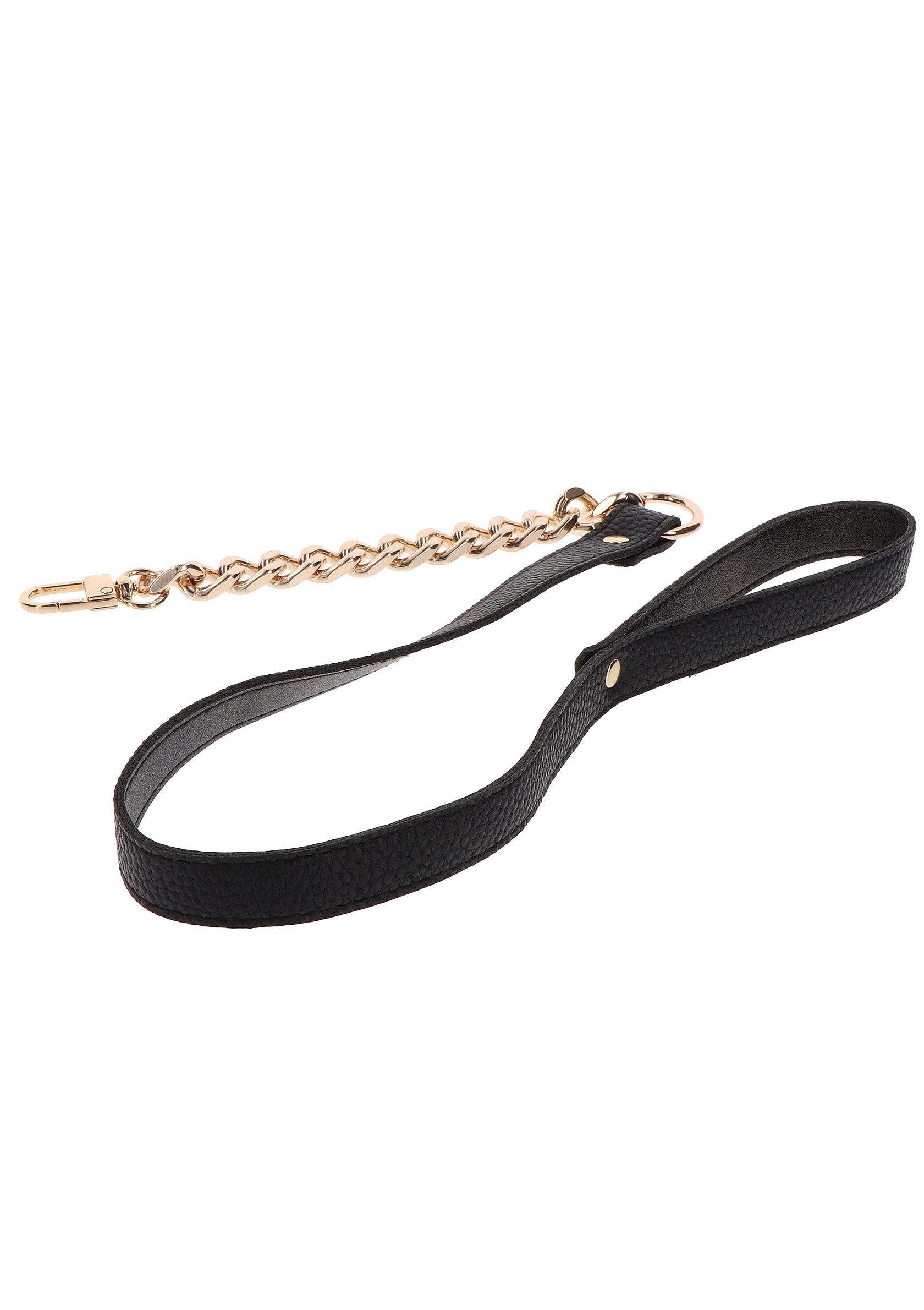 Golden Statement Collar and Leash