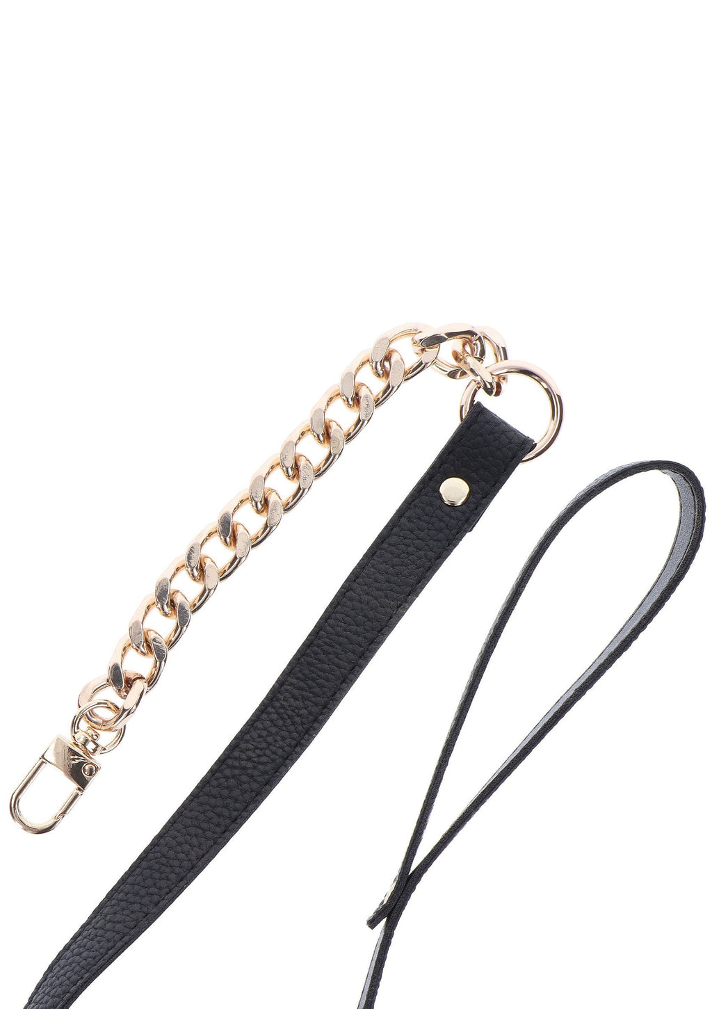 Golden Statement Collar and Leash