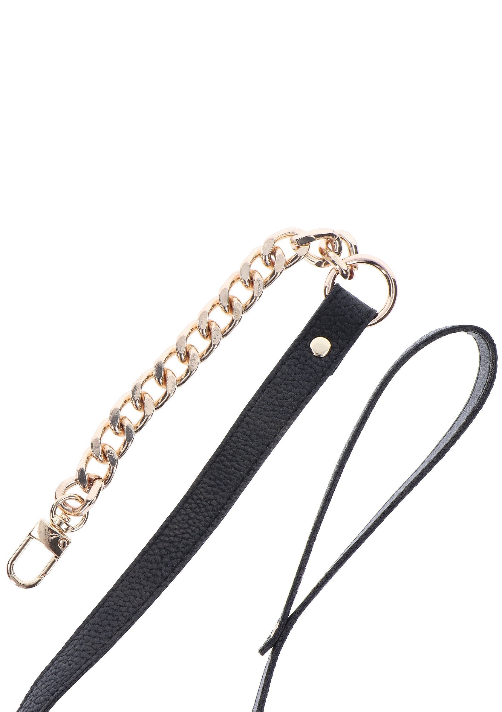 Golden Statement Collar and Leash