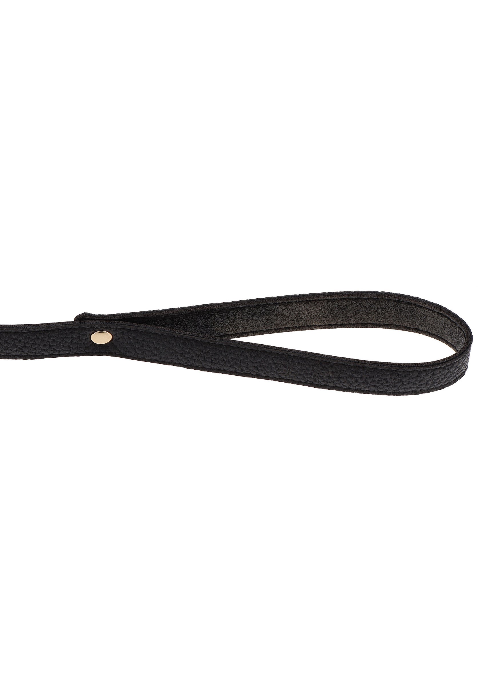 Golden Statement Collar and Leash