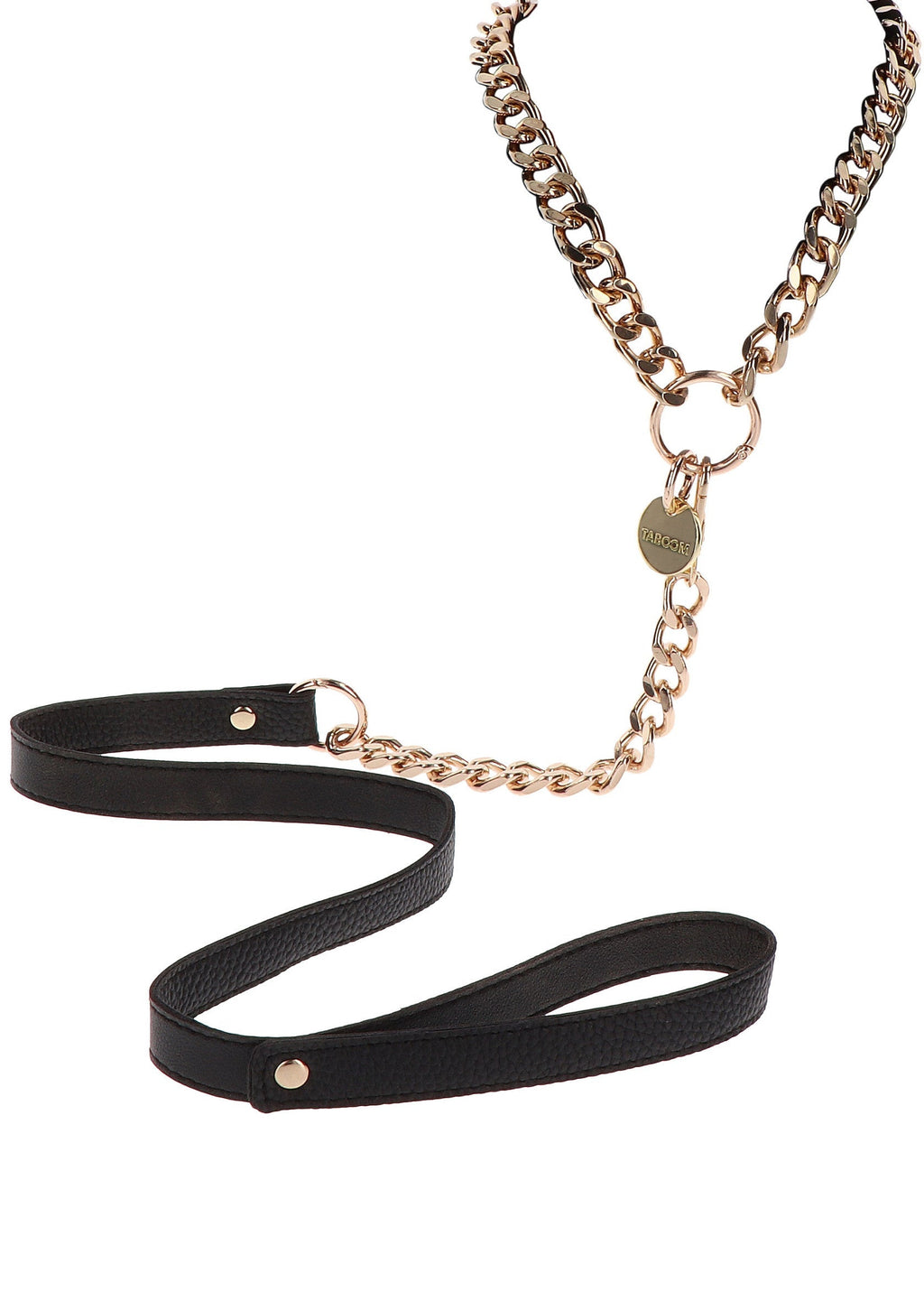 Golden Statement Collar and Leash