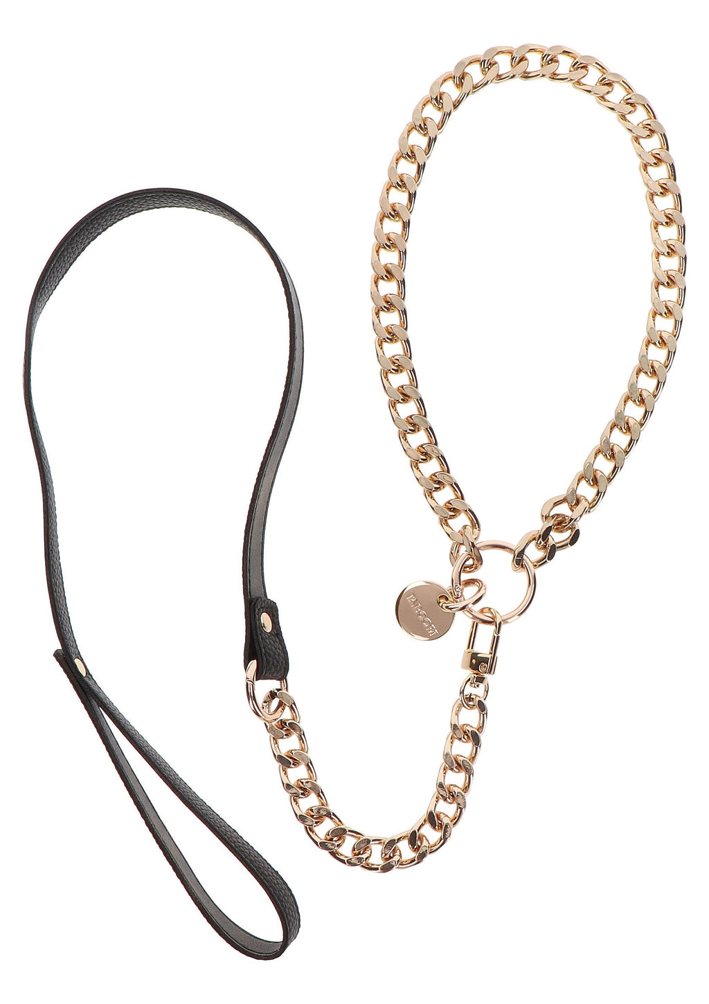 Golden Statement Collar and Leash