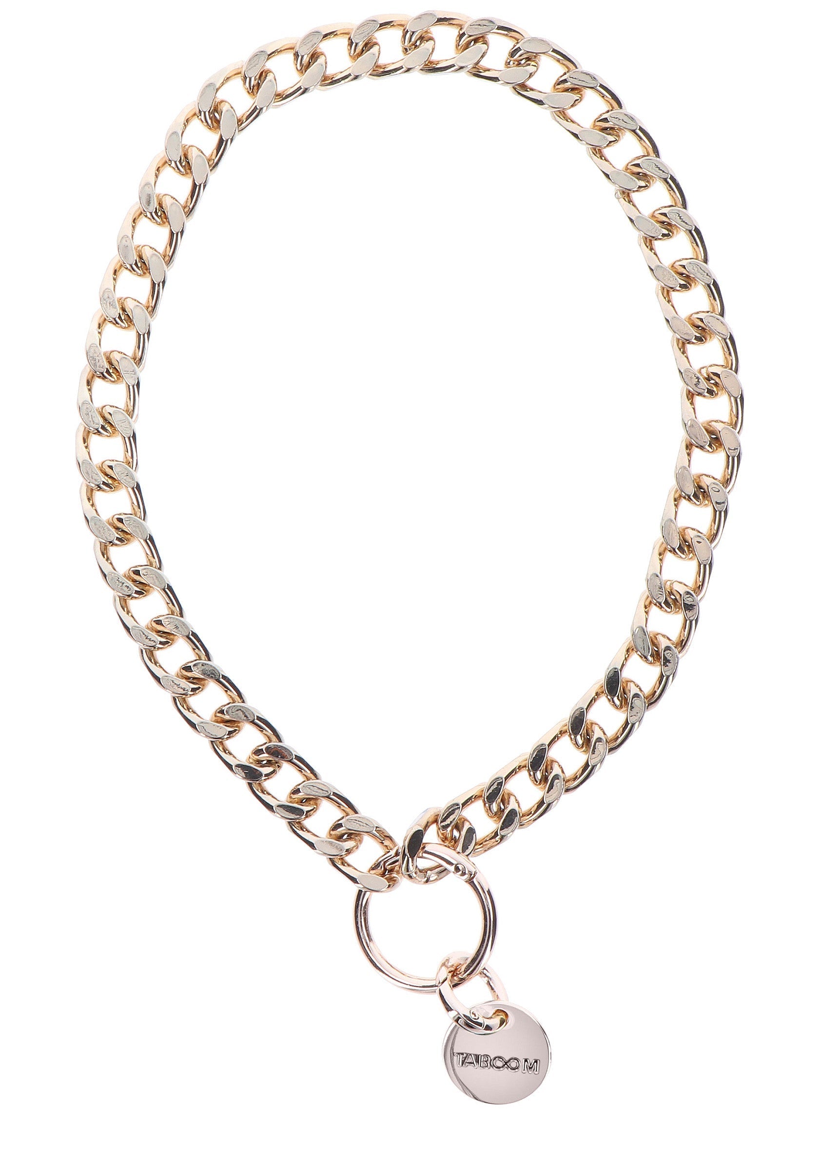 Golden Statement Collar and Leash
