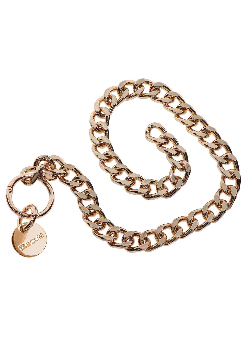 Golden Statement Collar and Leash