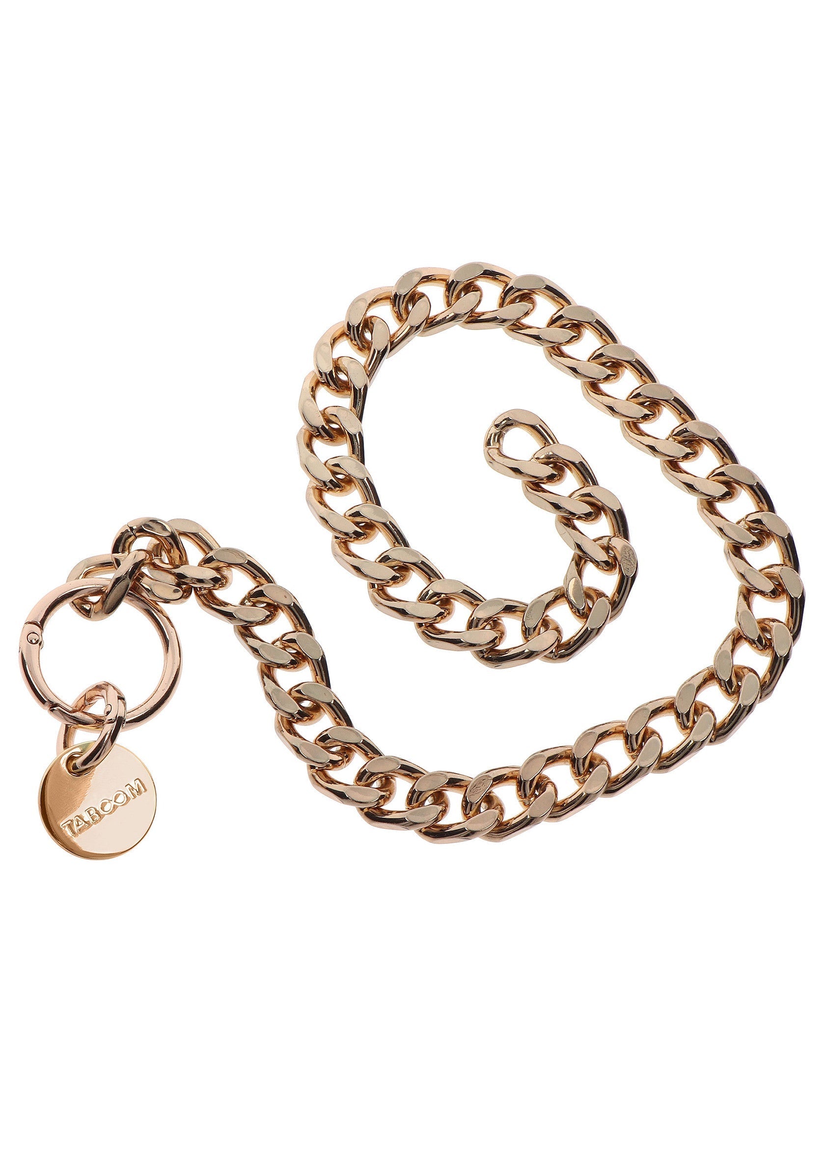 Golden Statement Collar and Leash