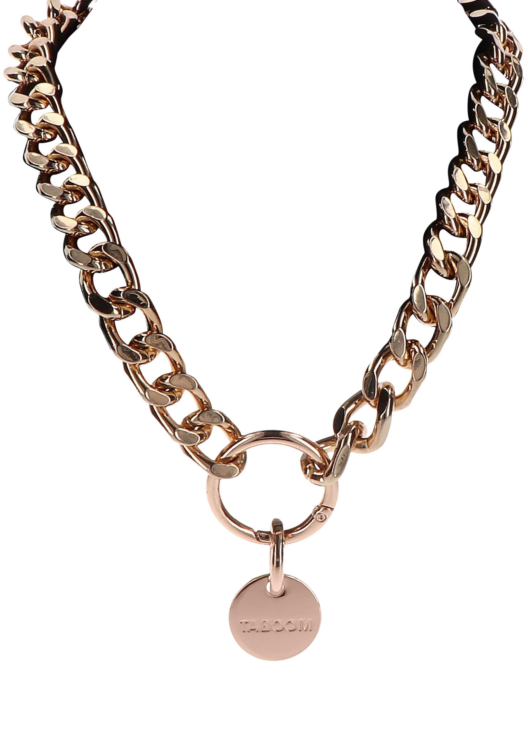 Golden Statement Collar and Leash