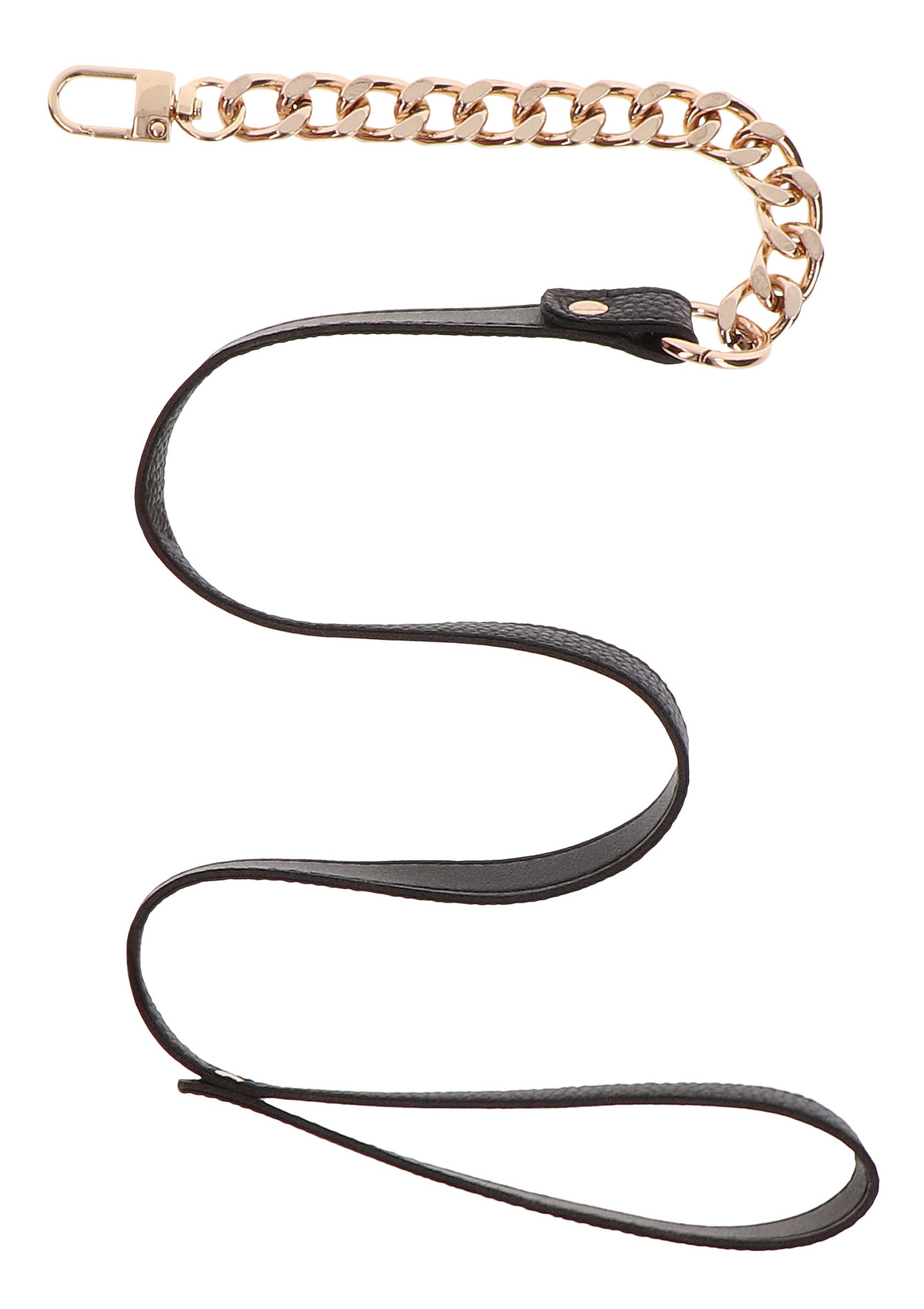 Golden Statement Collar and Leash