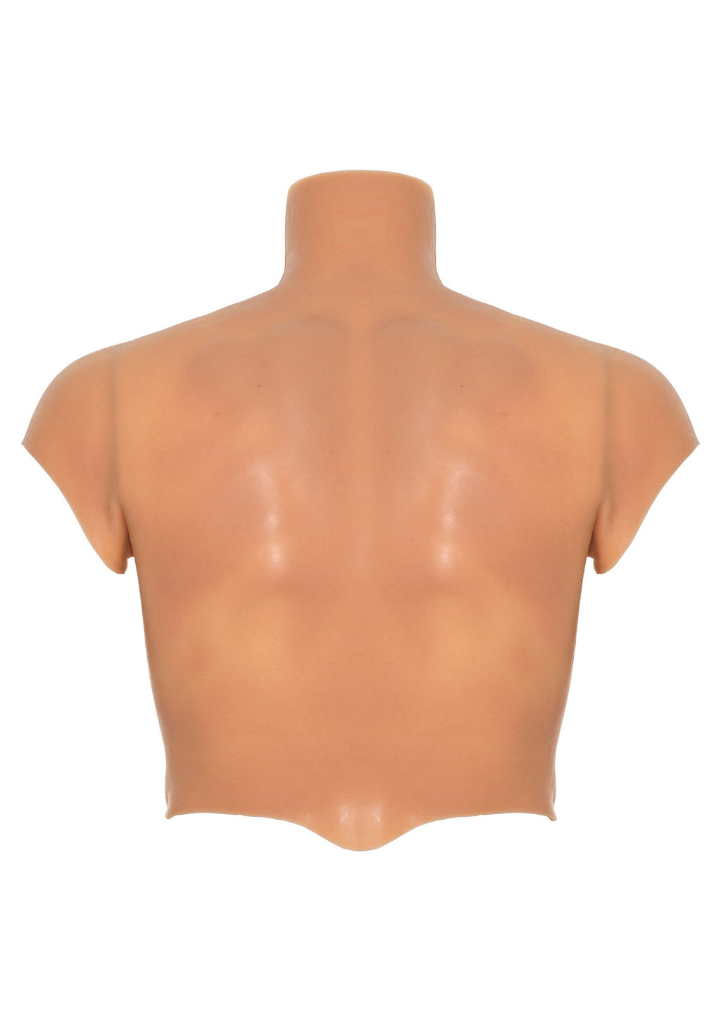 Pectorals and silicone abs for torso