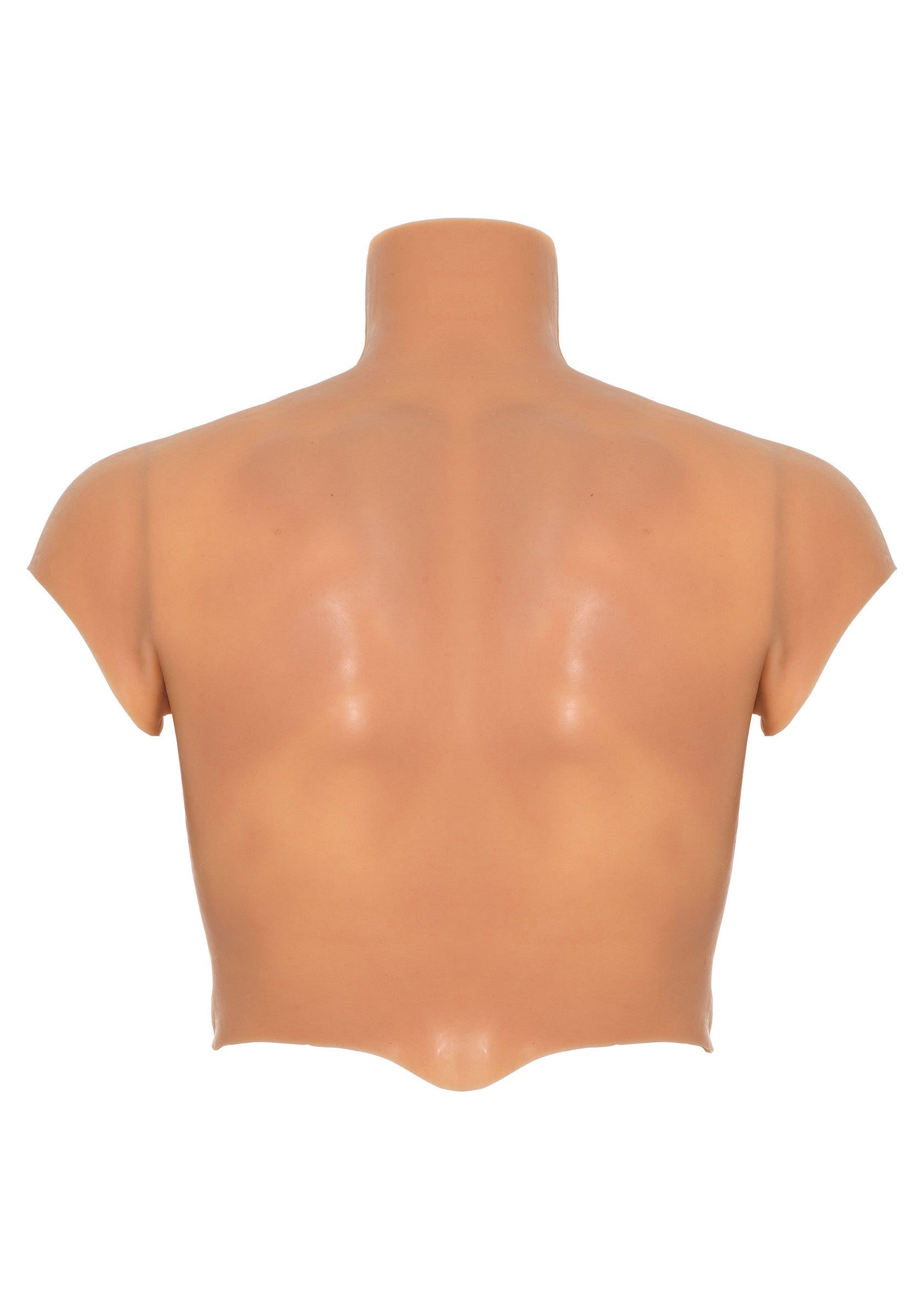 Pectorals and silicone abs for torso
