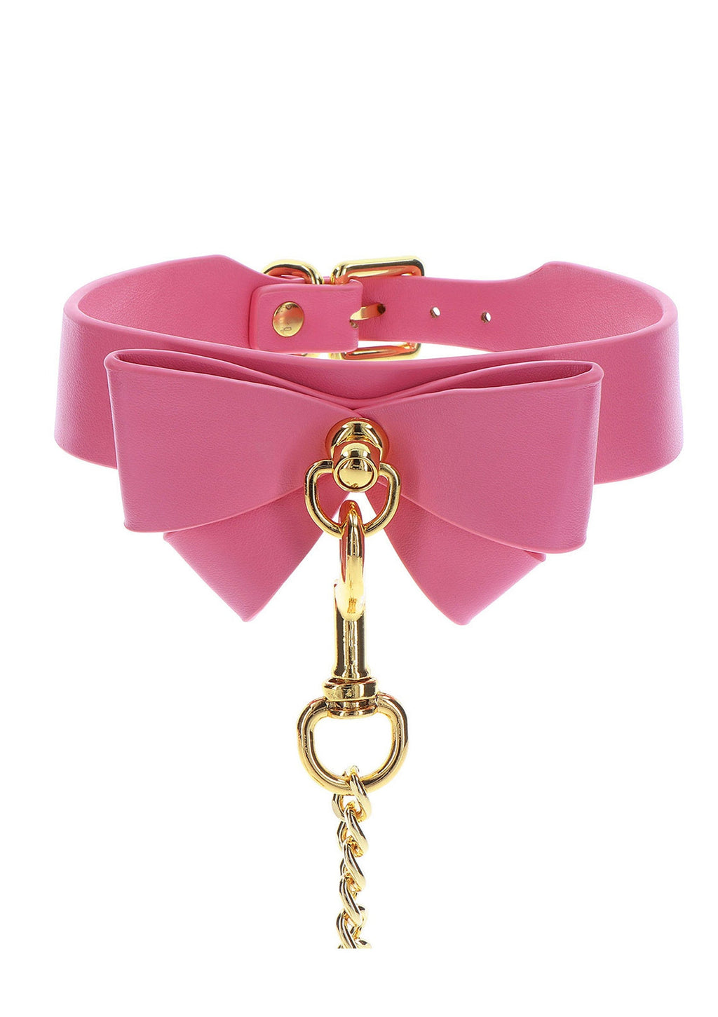 Pink collar and leash