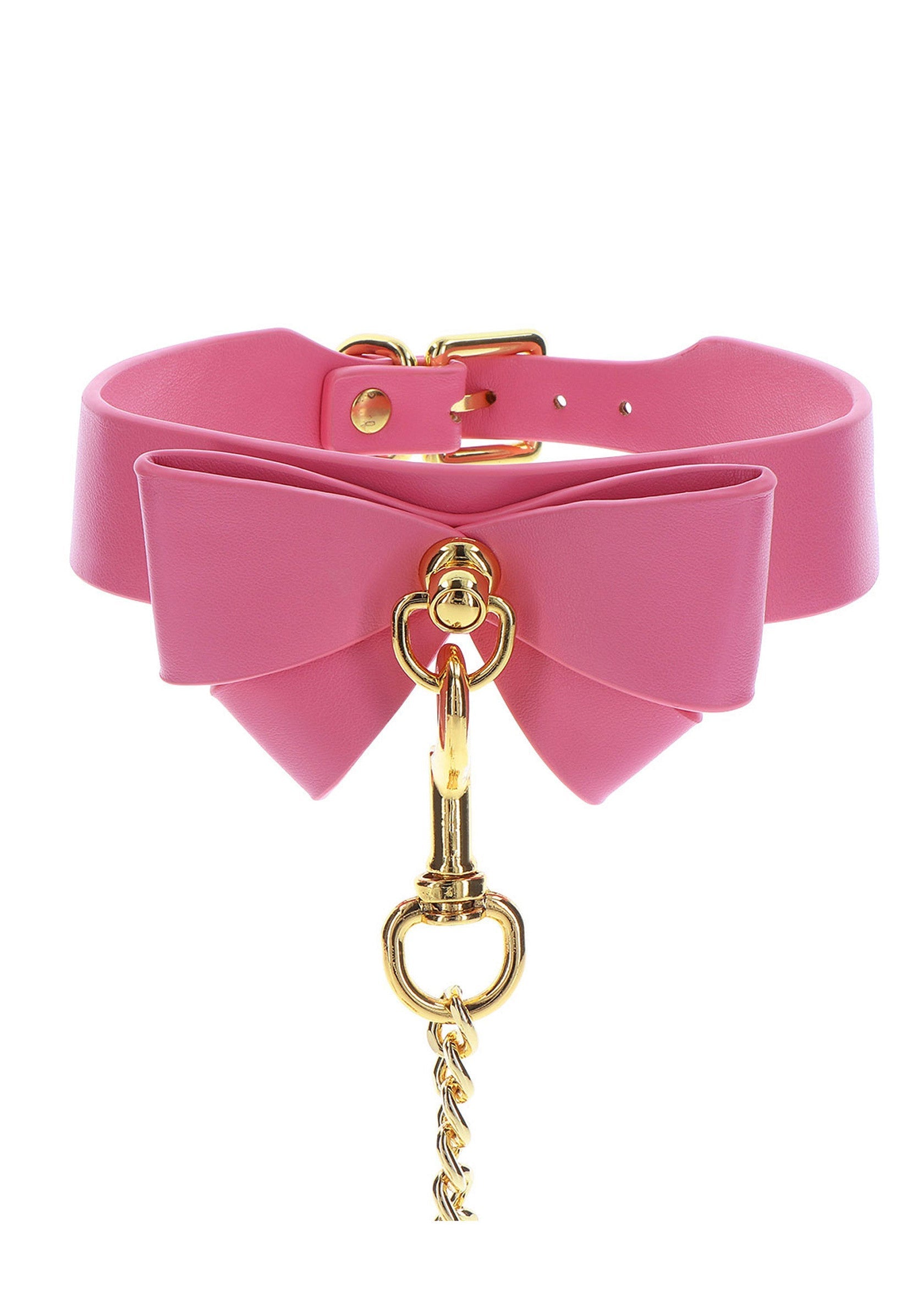 Pink collar and leash
