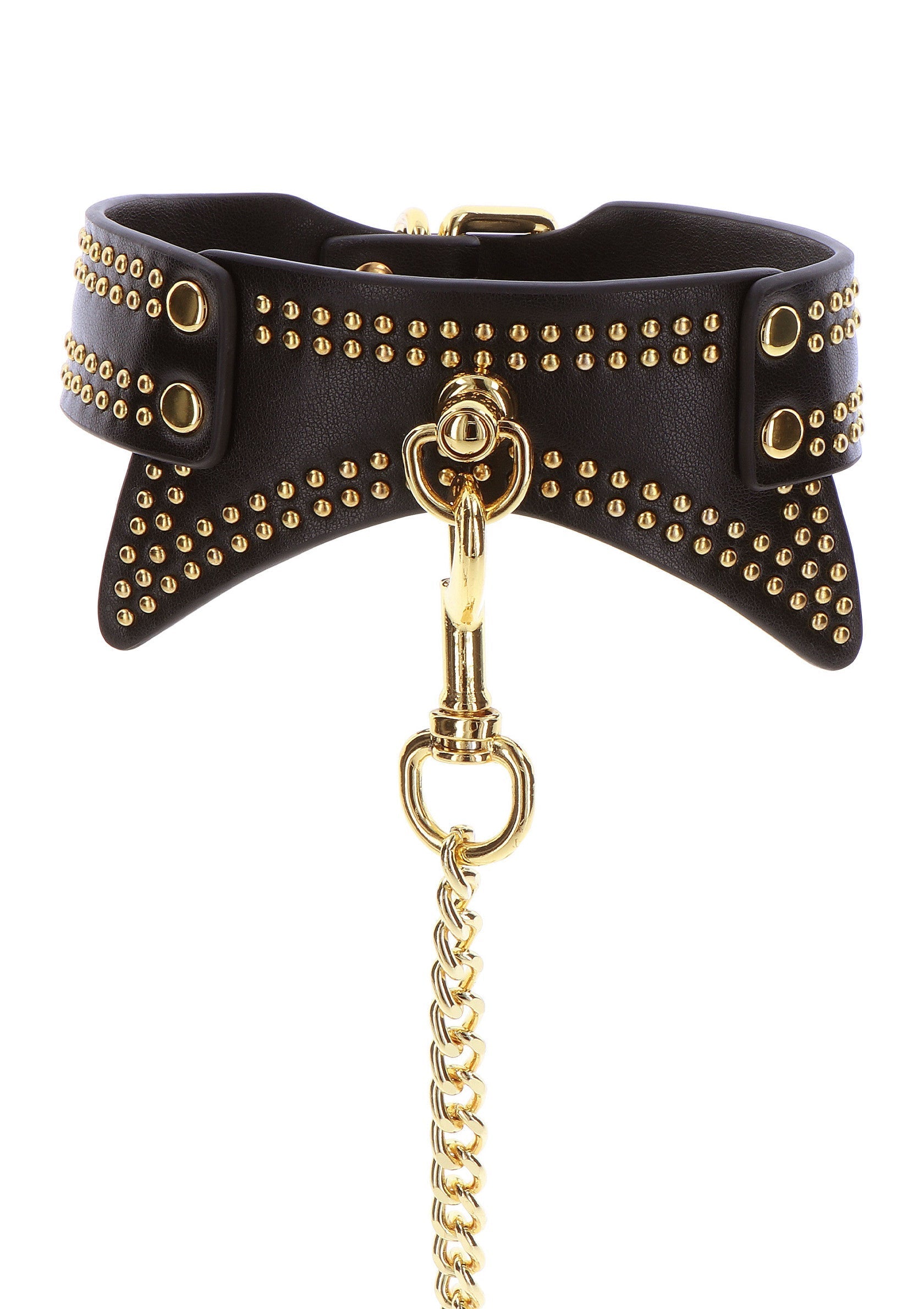 Black studded collar and leash