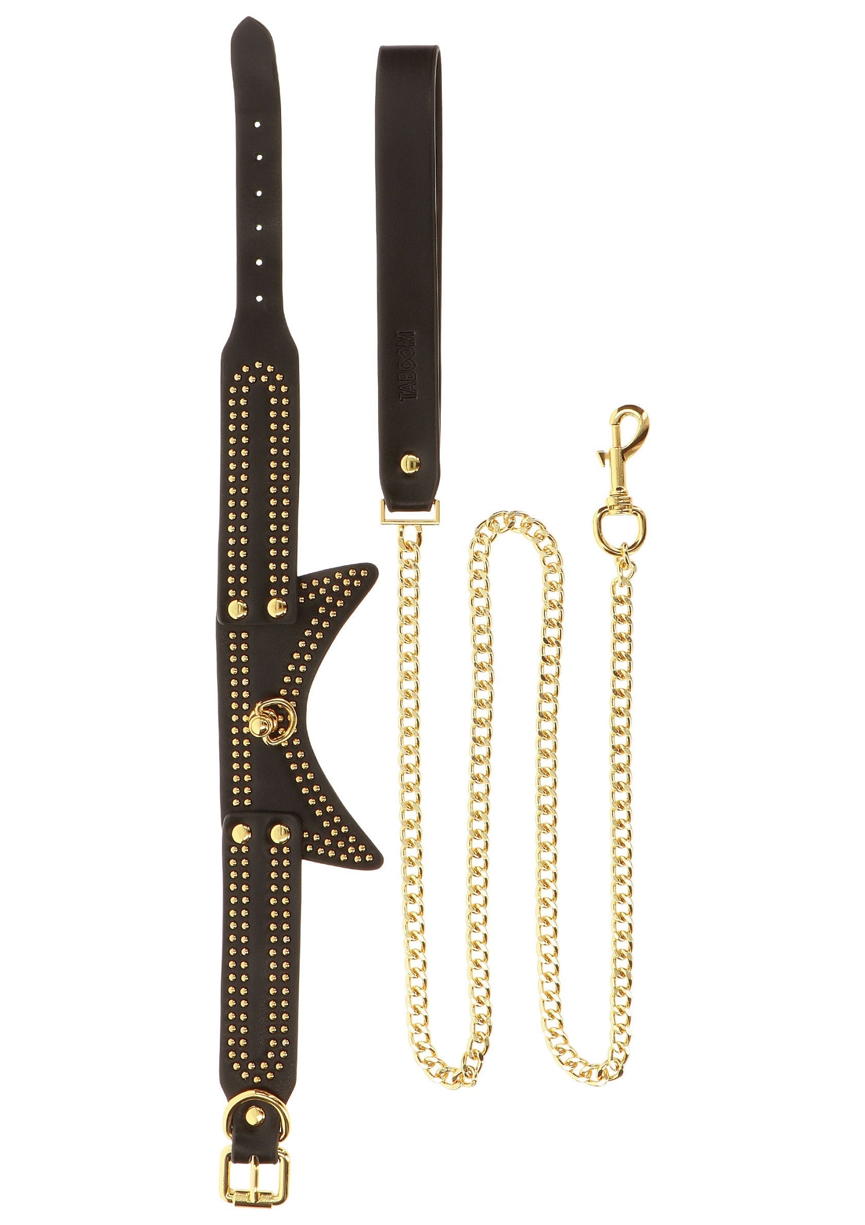Black studded collar and leash
