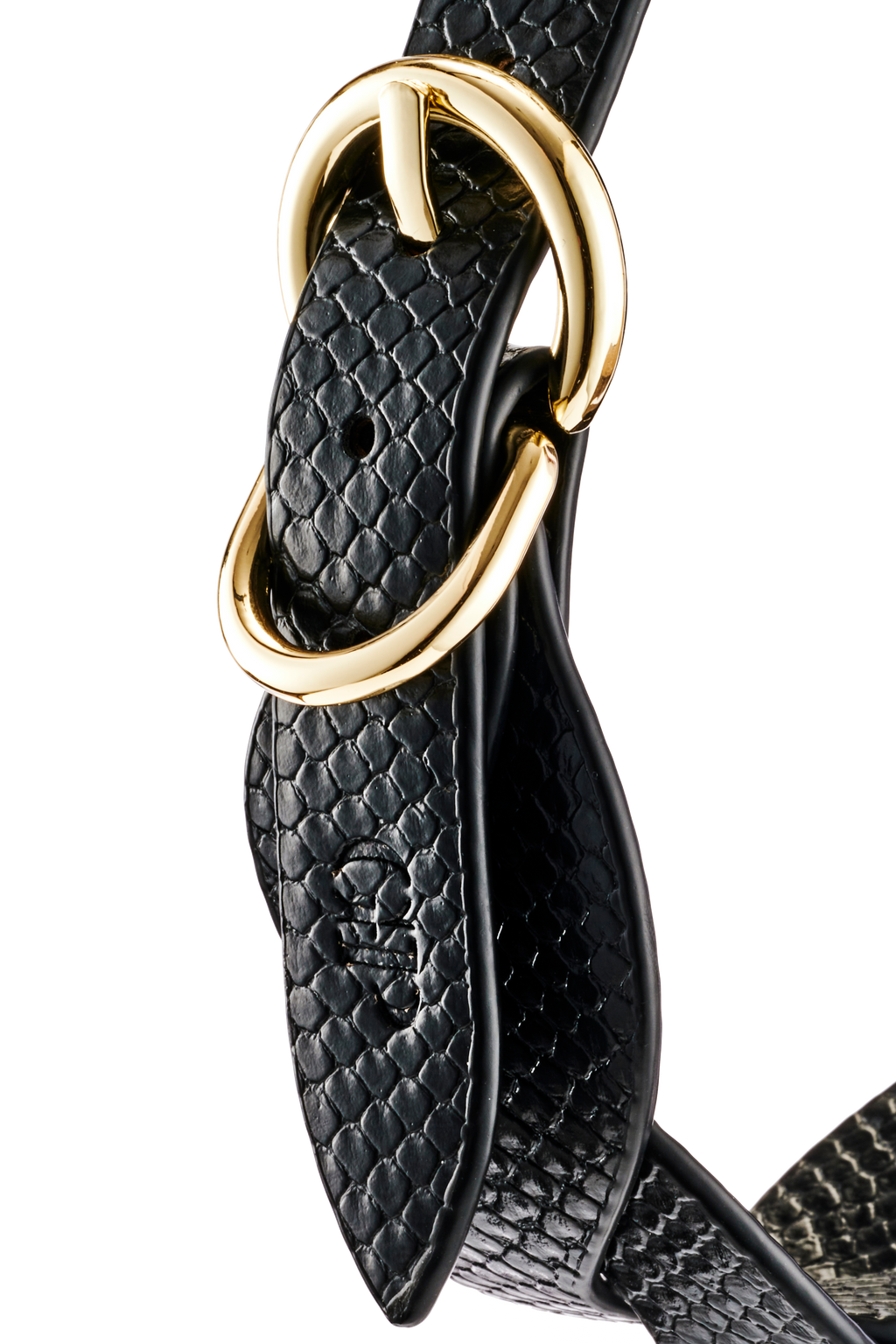 GUILTY PLEASURE LUNAR BRAIDED LEASH AND COLLAR
