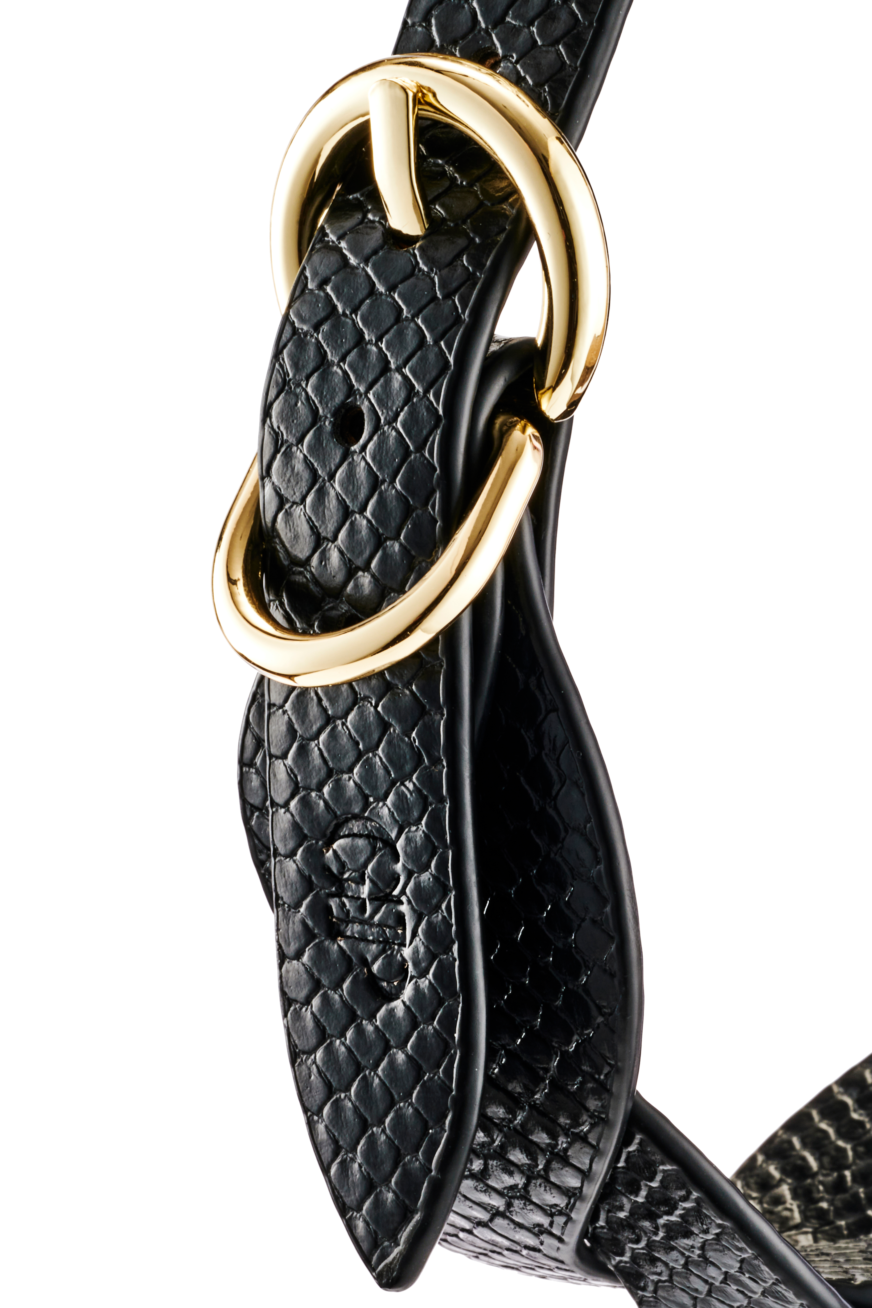 GUILTY PLEASURE LUNAR BRAIDED LEASH AND COLLAR