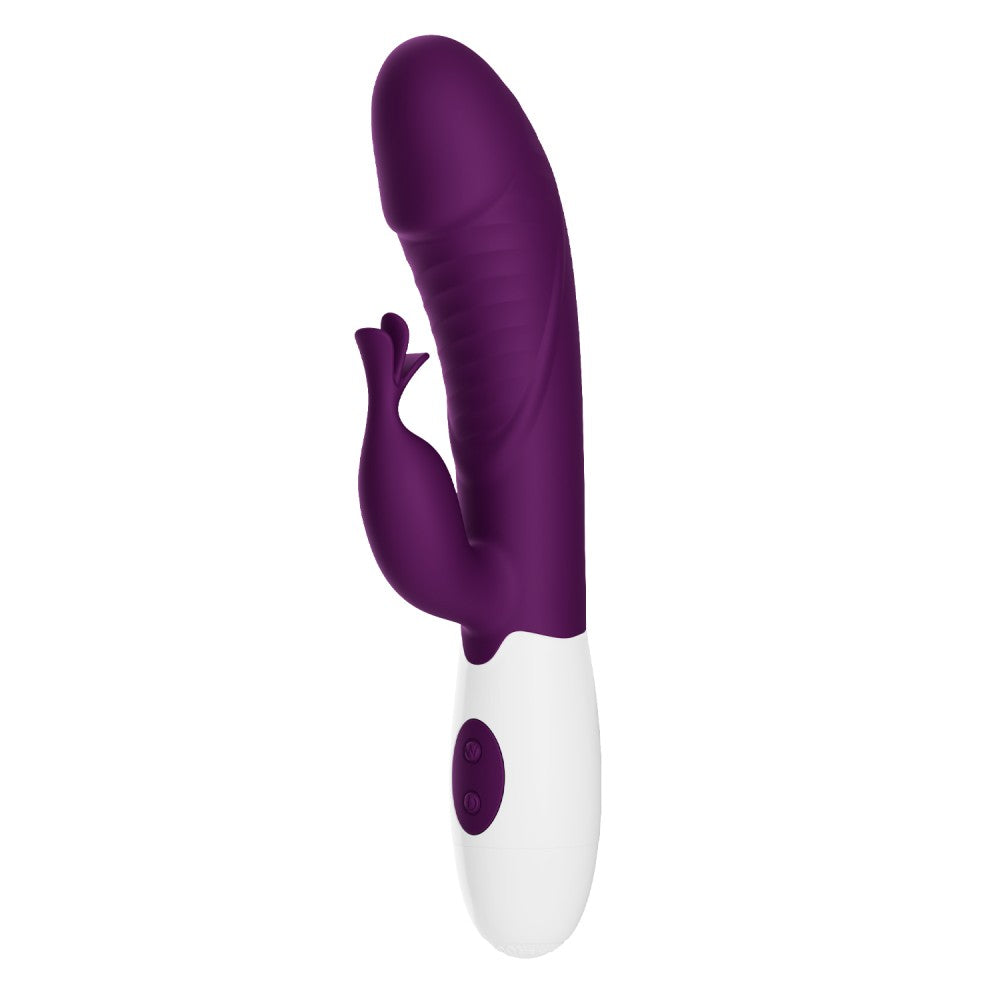 Bella Amore Rasmussen Viola