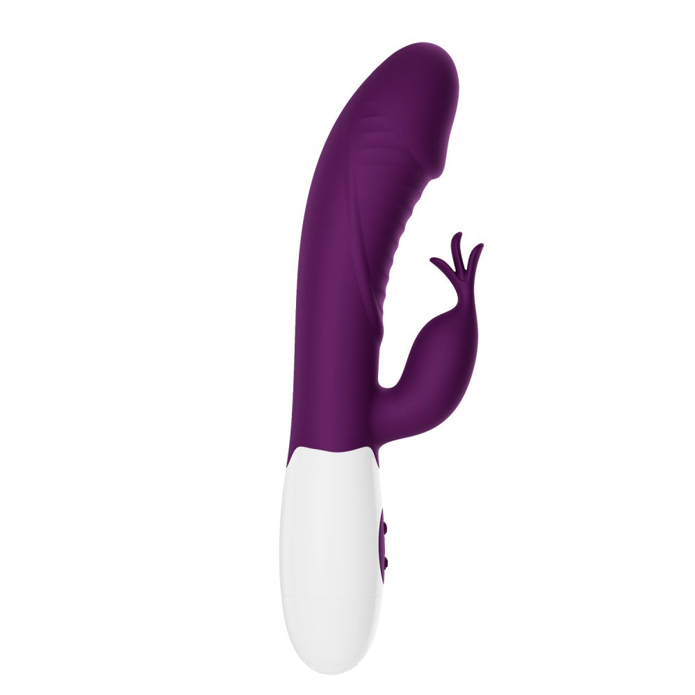 Bella Amore Rasmussen Viola