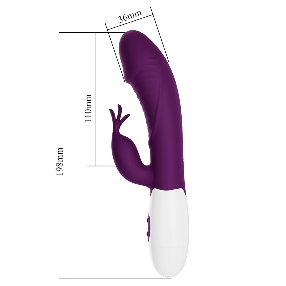 Bella Amore Rasmussen Viola