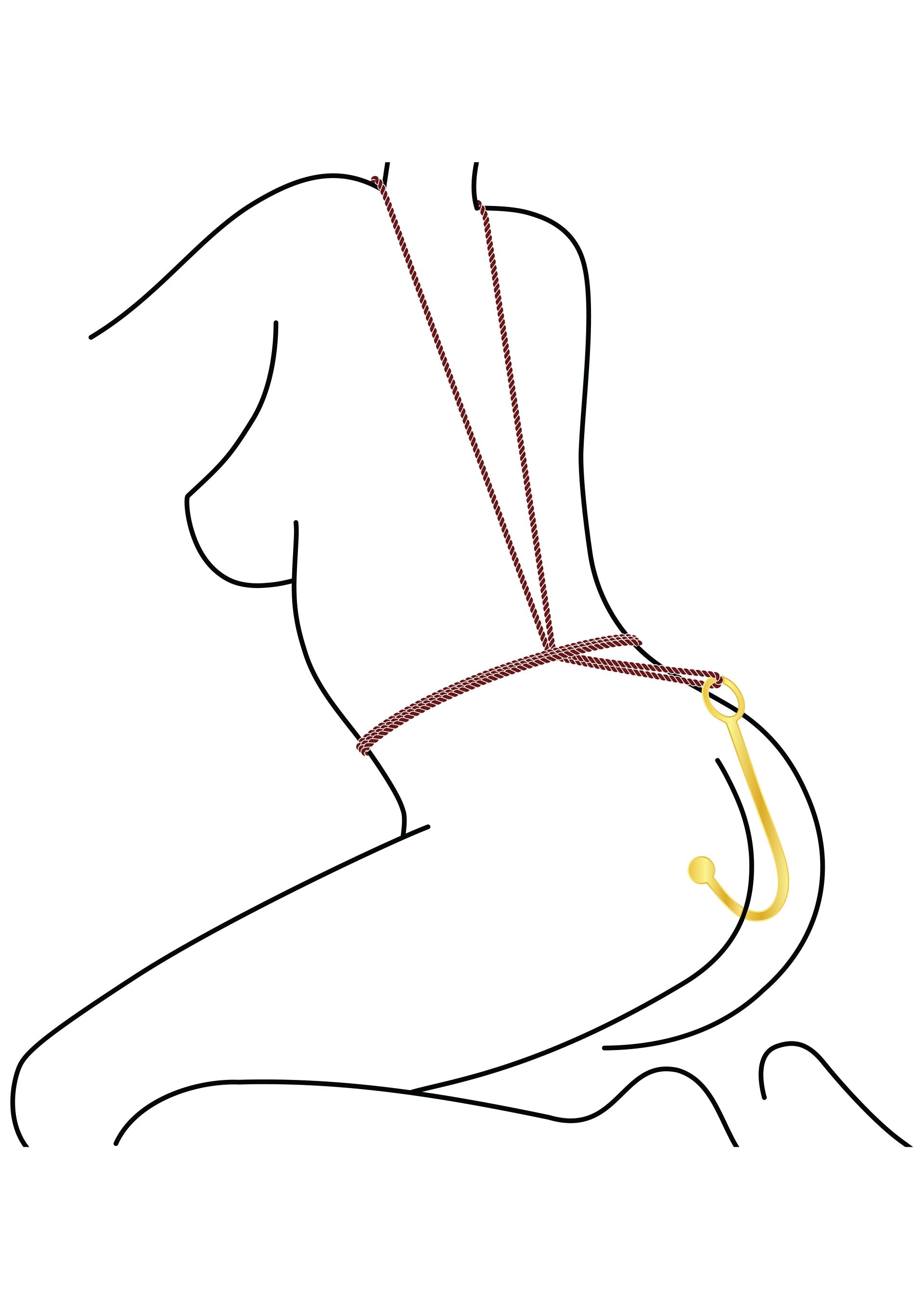 Luxury Golden Anal Hook