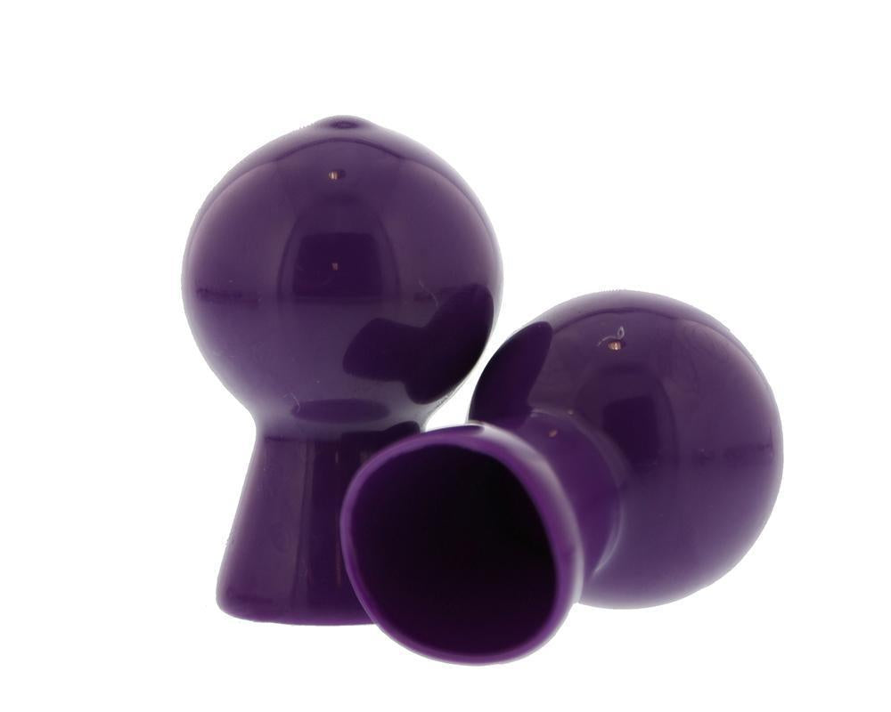 PAIR OF NIPPLE SUCKERS IN GLOSSY PURPLE
