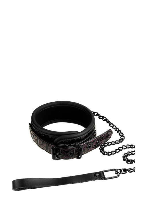 BLAZE PURPLE COLLAR AND LEASH