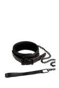 BLAZE PURPLE COLLAR AND LEASH