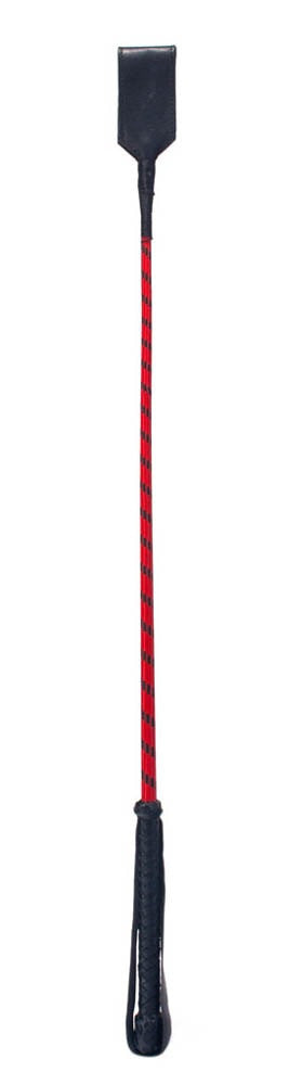 26-inch Slapper Harvested