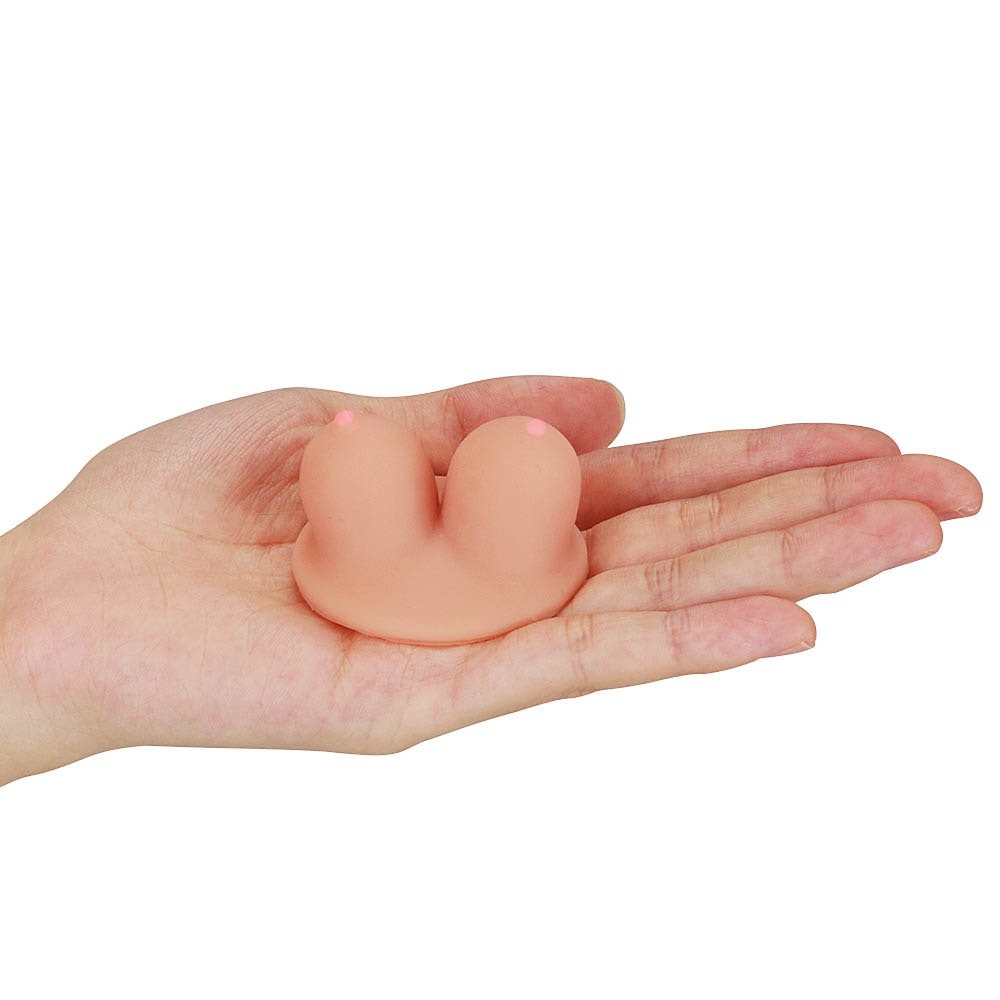 Universal Breast Support